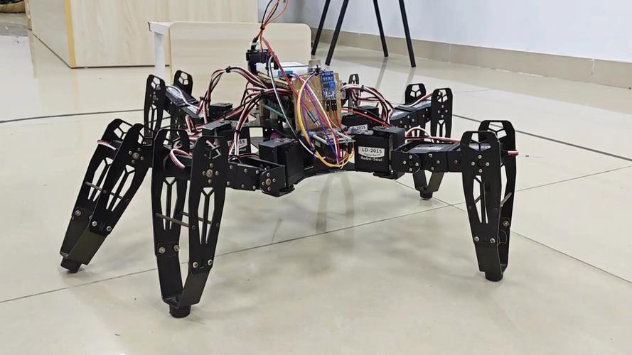 蜘蛛型机器人如何突破复杂地形?-第1张图片-广州国自机器人 蜘蛛型机器人如何突破复杂地形?-第1张图片-广州国自机器人