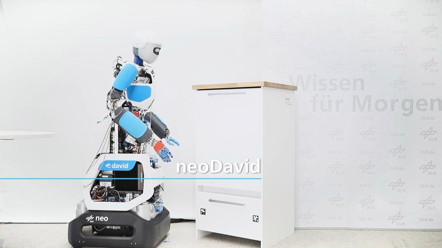 机器人david 8-第2张图片-广州国自机器人