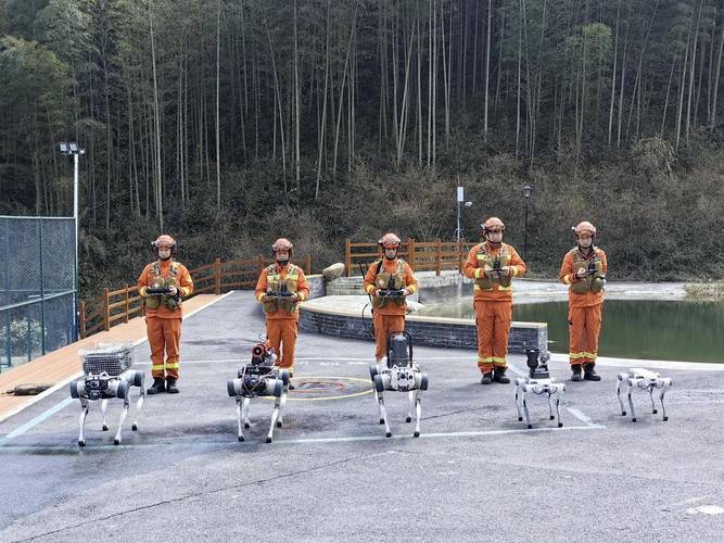 救援与动物机器人，如何协同救灾？-第1张图片-广州国自机器人