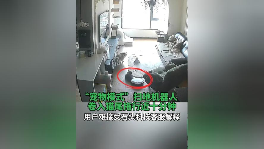 宠物机器人为何内部藏机器人？-第1张图片-广州国自机器人