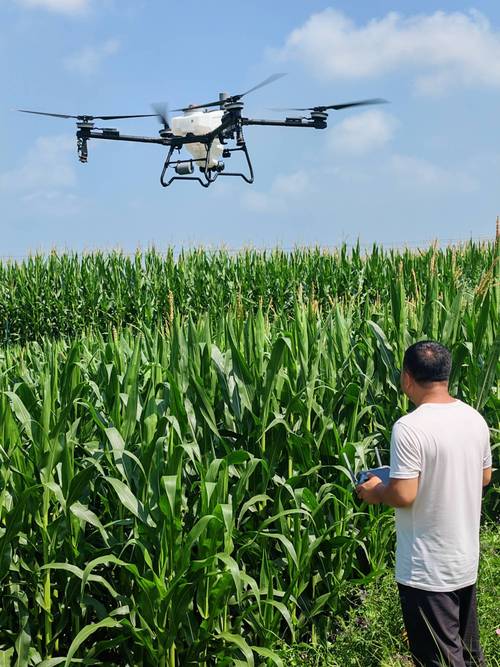 山西无人机农业植保有何新突破?-第1张图片-广州国自机器人 山西无人机农业植保有何新突破?-第1张图片-广州国自机器人