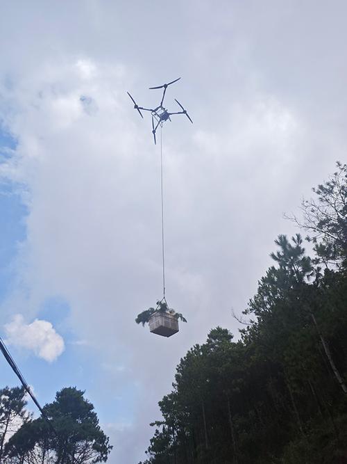 无人机卡树上怎么取下来？-第1张图片-广州国自机器人