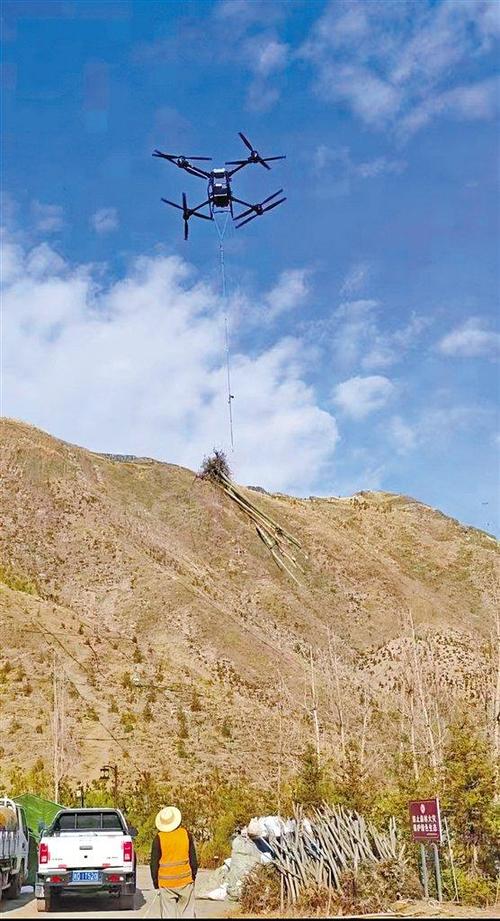 无人机卡树上怎么取下来？-第2张图片-广州国自机器人