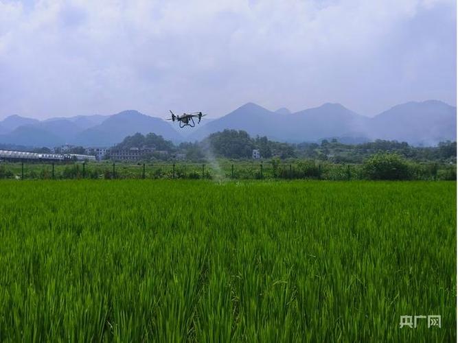 无人机喷农药到底能不能挣钱?-第3张图片-广州国自机器人 无人机喷农药到底能不能挣钱?-第3张图片-广州国自机器人