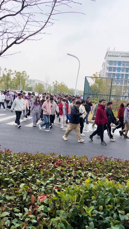 昆山立汛机器人性能如何？-第2张图片-广州国自机器人