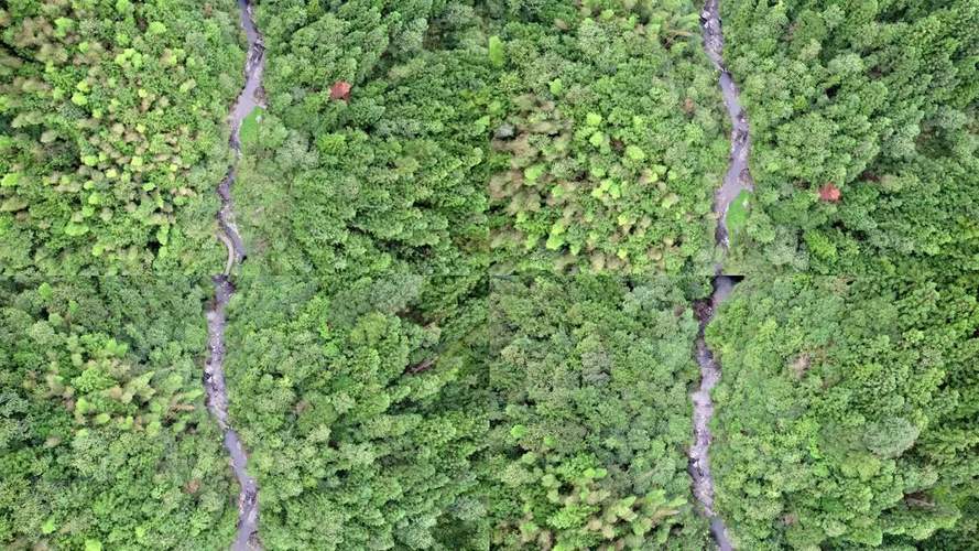 江西哪里能找到无人机航拍服务？-第1张图片-广州国自机器人