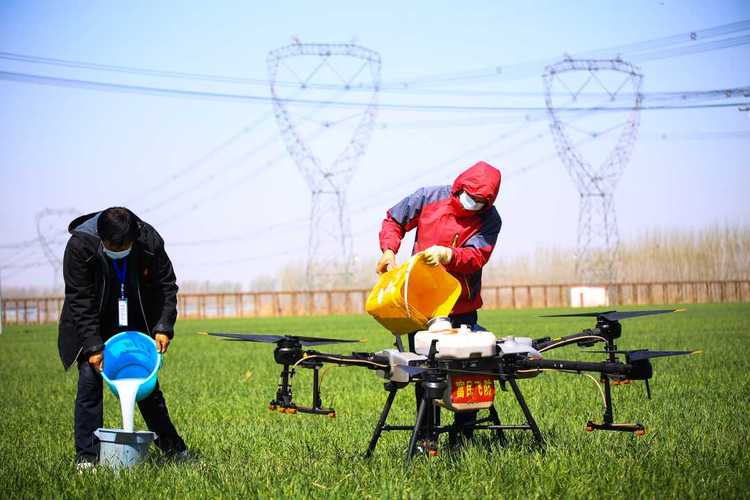 无人机打农药服务团队,靠谱吗?-第2张图片-广州国自机器人 无人机打农药服务团队,靠谱吗?-第2张图片-广州国自机器人