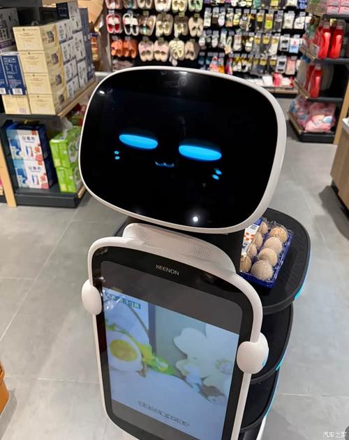 网购机器人是什么？-第1张图片-广州国自机器人