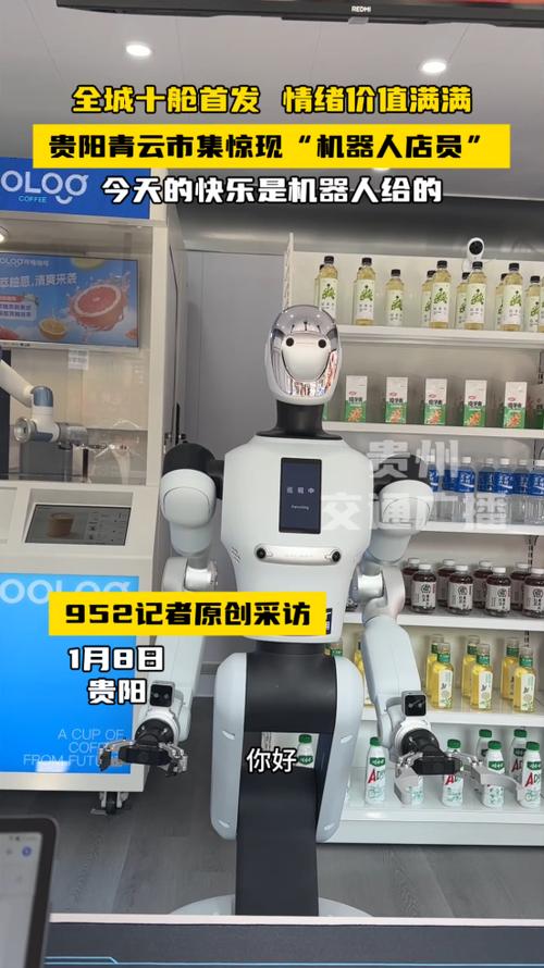 网购机器人是什么？-第2张图片-广州国自机器人