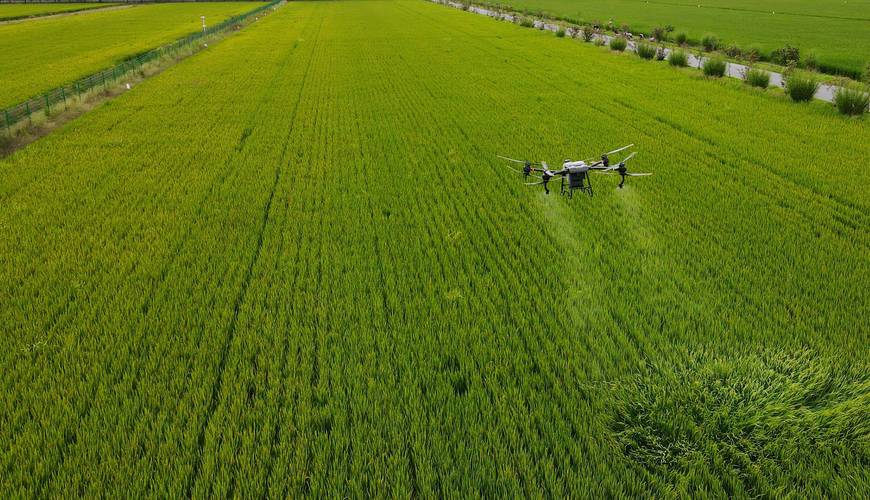 无人机撒农药市场空间有多大？-第1张图片-广州国自机器人