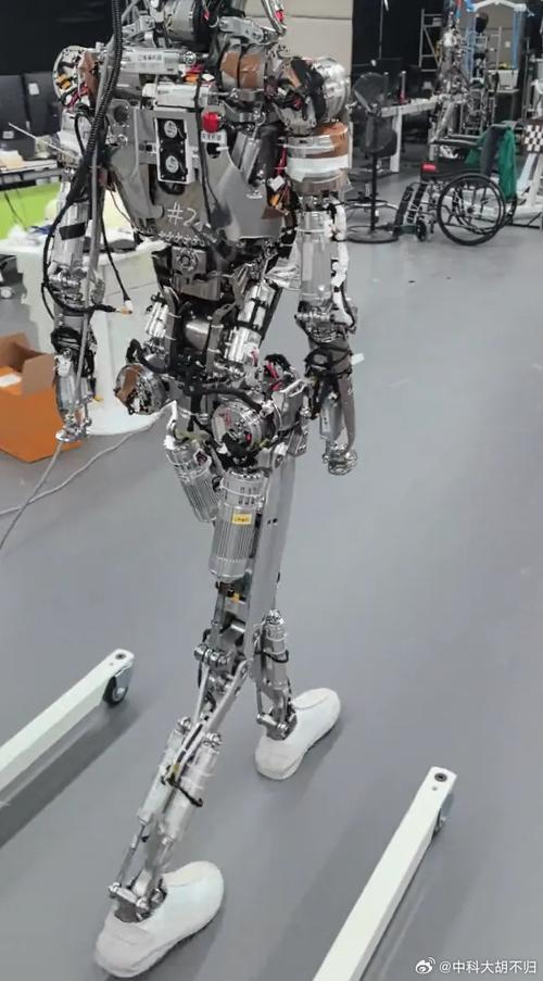 世界上最便宜的机器人有多便宜？-第1张图片-广州国自机器人