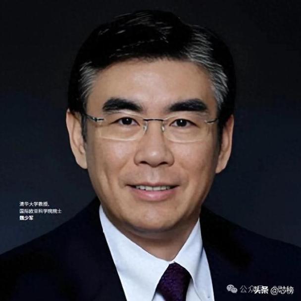 魏少军谈人工智能，我们与发达国家差距有多大？-第1张图片-广州国自机器人