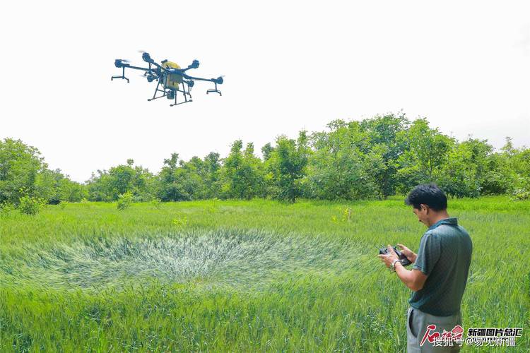 淮安植保无人机补贴怎么申请？-第2张图片-广州国自机器人