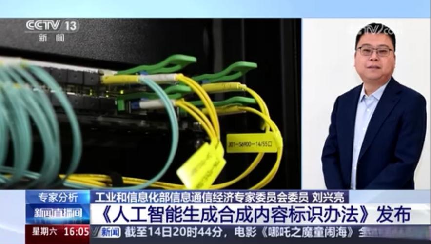 如何成为人工智能总监？-第1张图片-广州国自机器人