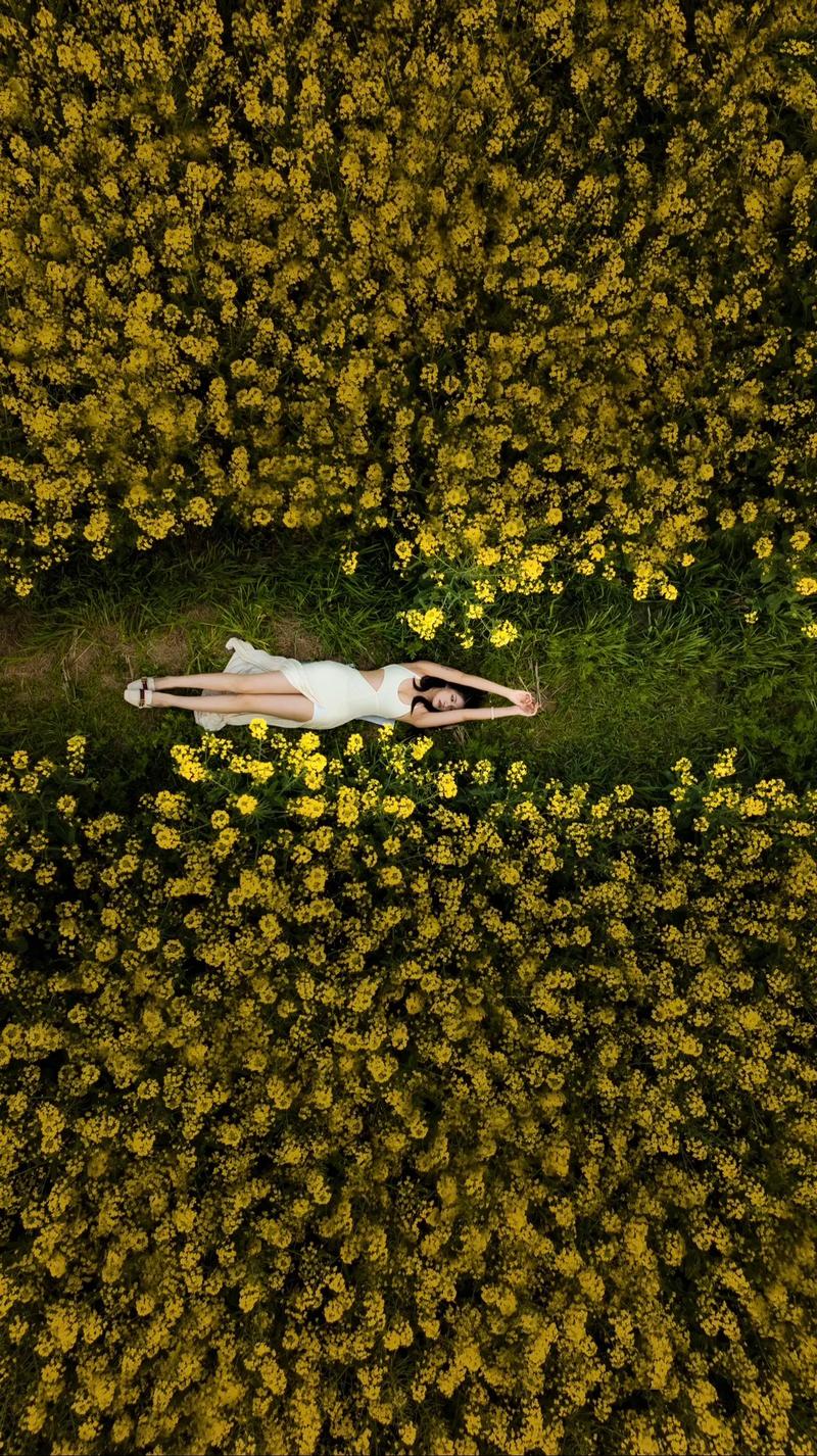 无人机如何拍出高质量照片？-第3张图片-广州国自机器人