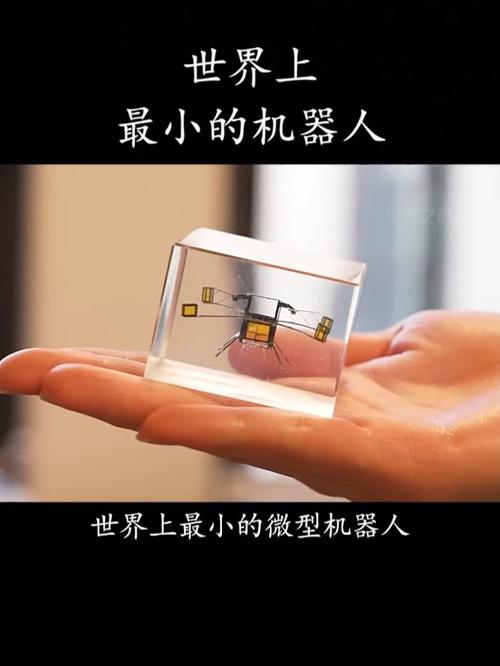 微型机器人有何实际应用价值？-第2张图片-广州国自机器人