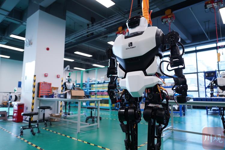地平线机器人技术公司如何突破AI技术瓶颈？-第1张图片-广州国自机器人