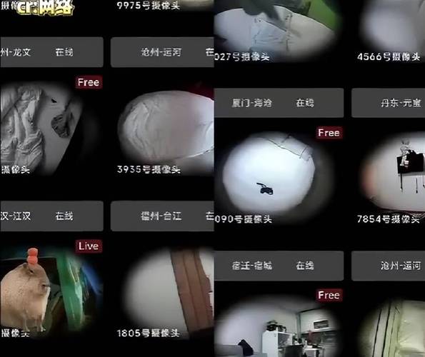 直播无人机偷窥照片图，隐私边界在哪？-第2张图片-广州国自机器人