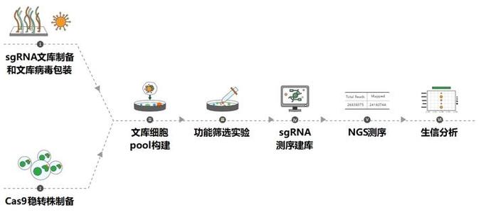 人工智能与生物，是创造还是共生？-第2张图片-广州国自机器人