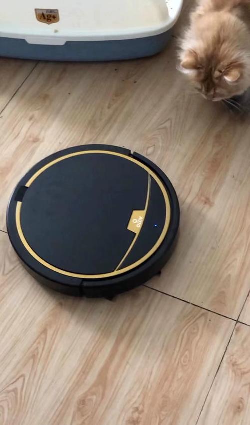 扫地机器人为何自动开启？-第2张图片-广州国自机器人